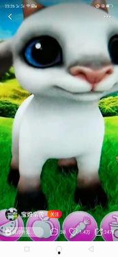 小羊最新爆料视频下载安装,揭秘幕后真相，带你走进事件核心