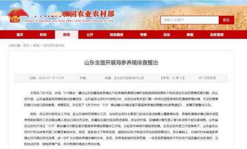 海参养殖爆料视频下载,揭秘养殖过程与经济效益