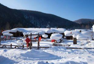 网友爆料雪乡视频,网友视频揭露惊人真相！