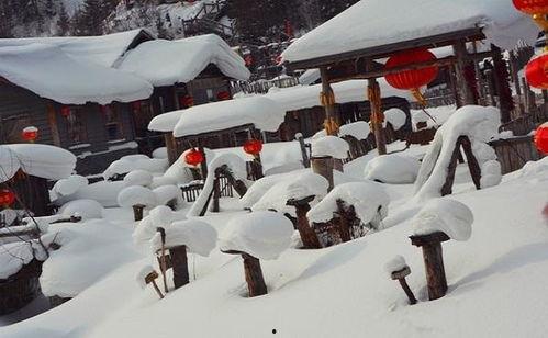 网友爆料雪乡视频,网友视频揭露惊人真相！  第2张