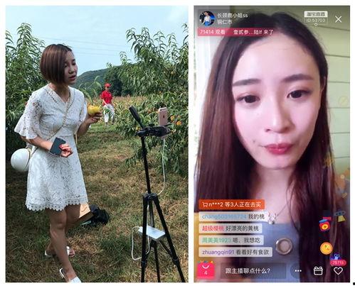 网红节视频在线观看,云端盛宴,视觉盛宴 第3张 网红节视频在线观看,云端盛宴,视觉盛宴 第3张