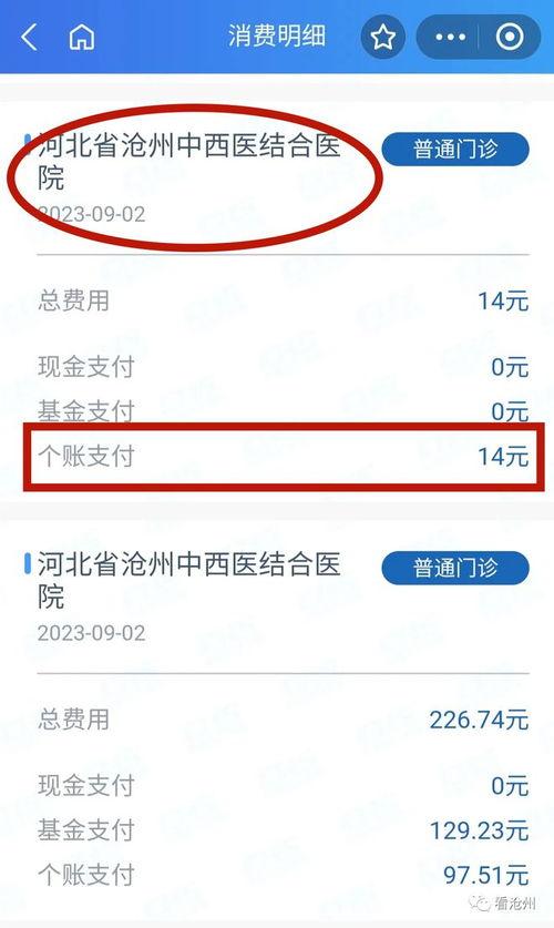 沧州今日头条网友爆料,最新动态，揭秘今日热点事件  第2张