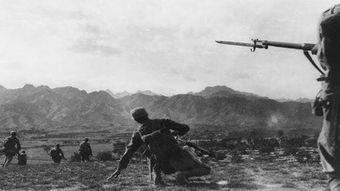 敌后武工队在线观看,敌后武工队传奇战纪  第3张