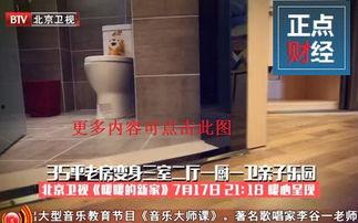 北京卫视在线观看回看