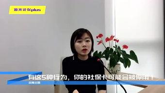 盛世创富保险圈内人爆料,内幕爆料揭示行业真相